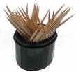 #5 des objets indispensables de la vie quotidienne